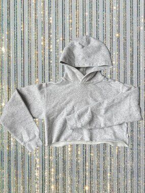 Aritzia TNA Grey Cropped Hoodie Minimalist Fleece Sweatshirt